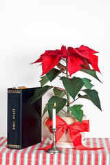 Christmas candle with bible and Christmas flower