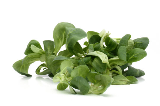 Salade "Mache"