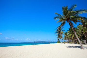 Tropical Paradise