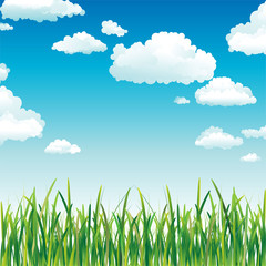 Clouds in the Sky above the Green Grass