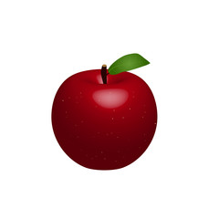 Red Apple Illustration