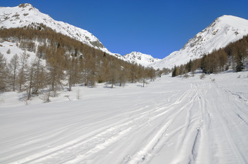 Snow field with ski tracks