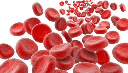 Blood cells on white background