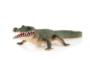 crocodile toy over white background