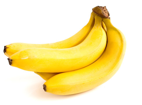 Branch of bananas