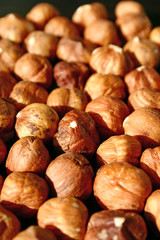 noisettes