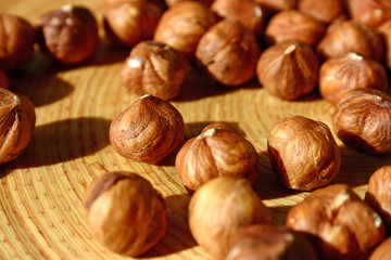 noisettes