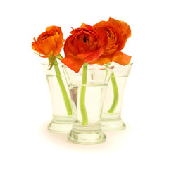 Three orange flowers in a vase with water