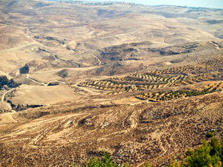 Fototapeta na wymiar Mount Nebo, Jordan