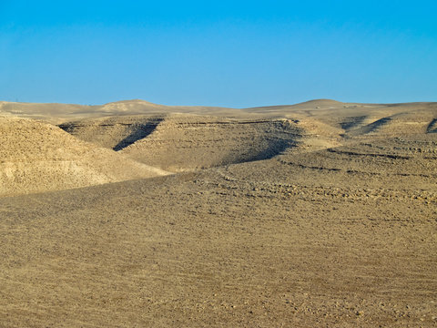 Desert detail in Jordan