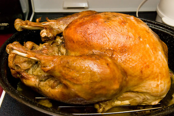 Turkey Dinner