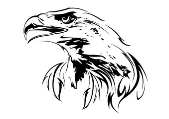 eagle on a white background