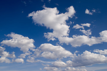 Naklejka na ściany i meble White clouds over blue sky