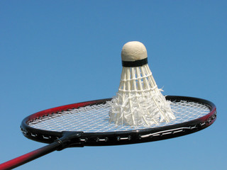 shuttlecock on a racket