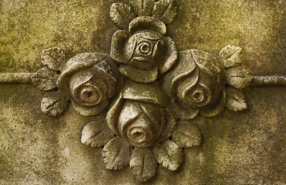 stone roses