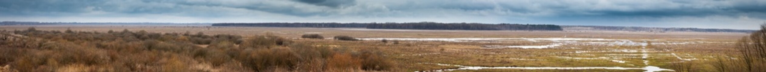 panorama of plain in the period of spring high water