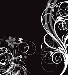 black and white floral background