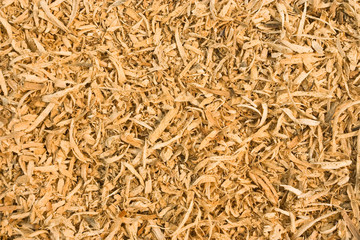 Sawdust