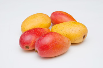 Fresh Mango