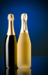 Champagne against color gradient background