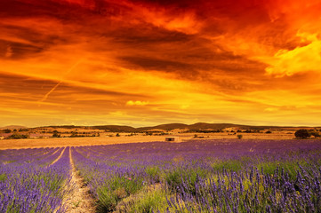 provence et ciel de feu