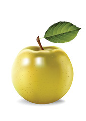 yellow apple on a white background