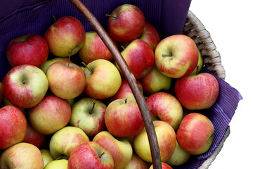 Äpfel