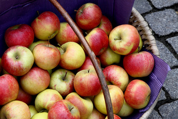 Apfelkorb,