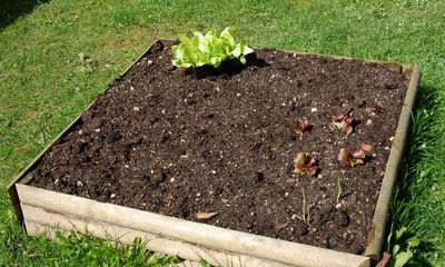 Petit carr&eacute; de jardin