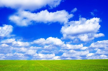 Green field and blue sky conceptual image.