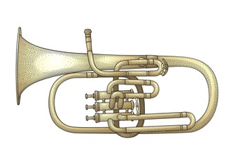Naklejka premium Trumpet vector