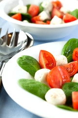 Salad with mozzarella and spinach