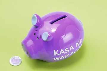 Piggy bank and polish coin