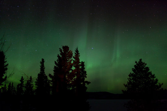 Aurora Borealis (Northern Lights) display over frozen Lake Laber