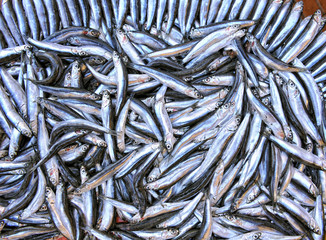 fish stall