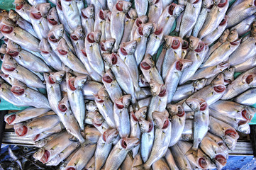 fish stall