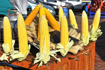 corn in cob