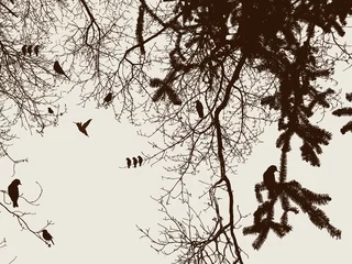 Door stickers Birds on tree tree