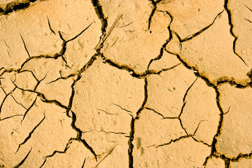 Drought