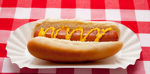 Hot dog with mustard on red plaid table cloth