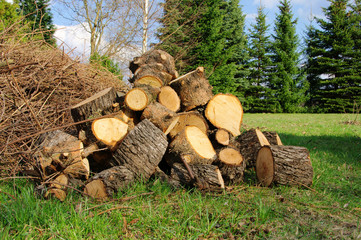 Holzstapel - stack of wood 30