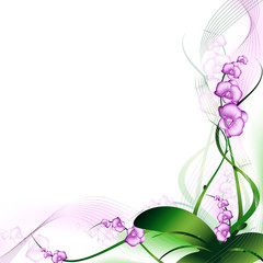 orchid © Sergej Razvodovskij