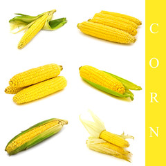 corn set