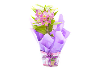 Pink orchids in special ccasion gift arrangement vase