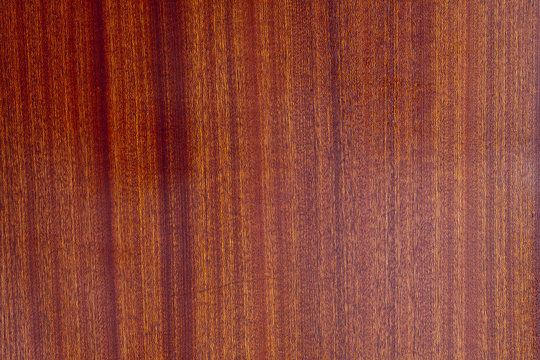 Texture wood dackground wood