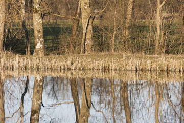 spiegelungen