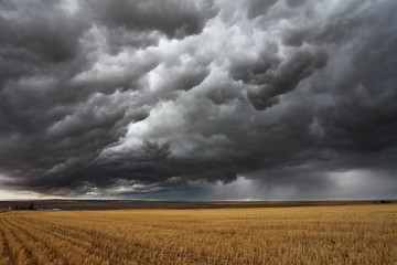 Thunderstorm