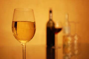 Wine Glasses
