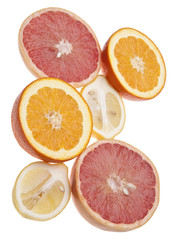 Group of Citrus