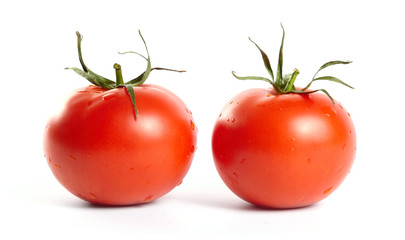 fresh tomatoes